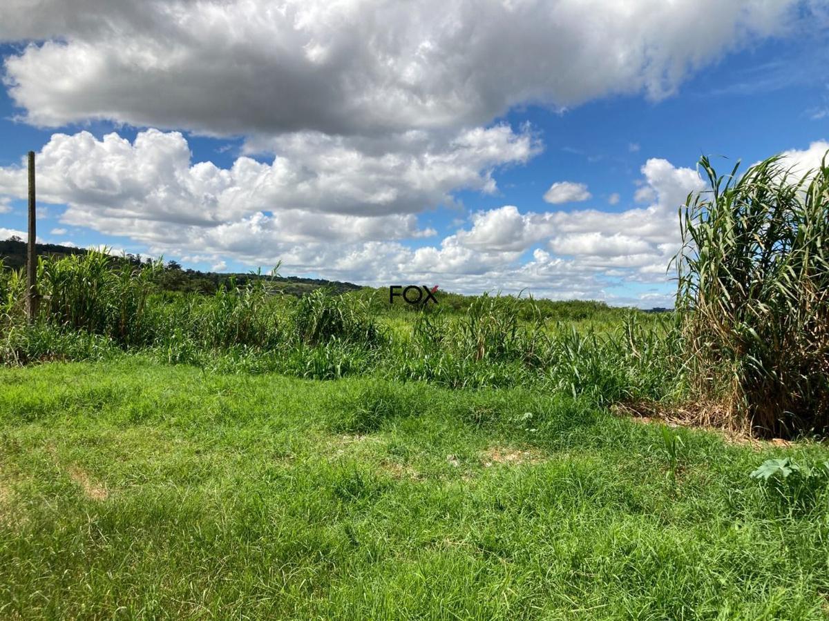 Lote, Inácia de Carvalho, 0 Quarto, 0 Vaga