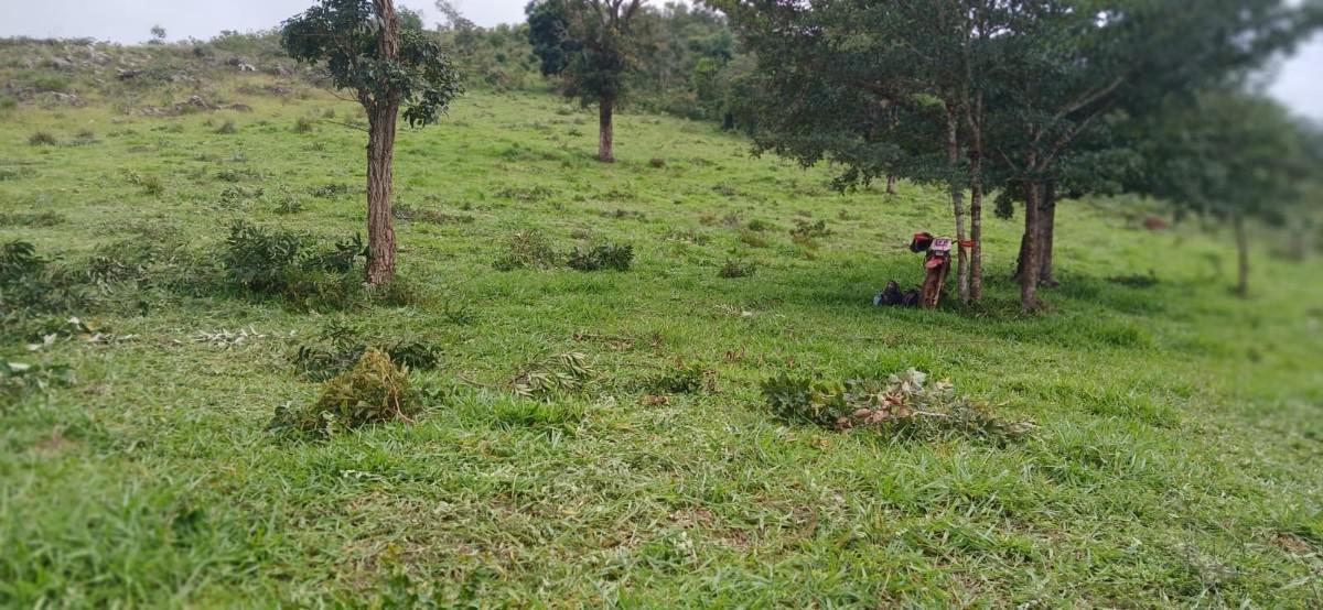 Fazenda, Centro, 6 Quartos, 10 Vagas, 2 Suítes