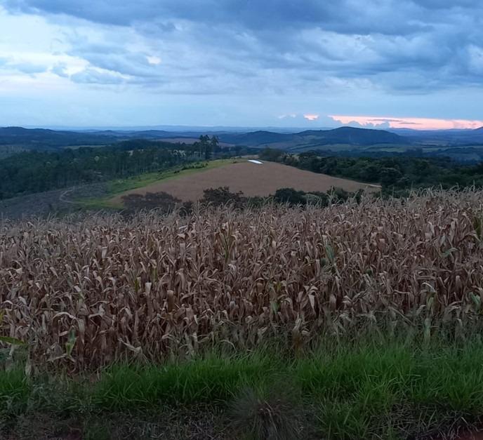 Fazenda, Centro, 3 Quartos, 0 Vaga