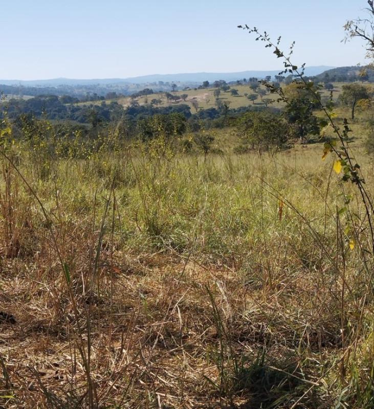 Fazenda, Área Rural de Pará de Minas, 0 Quarto, 0 Vaga