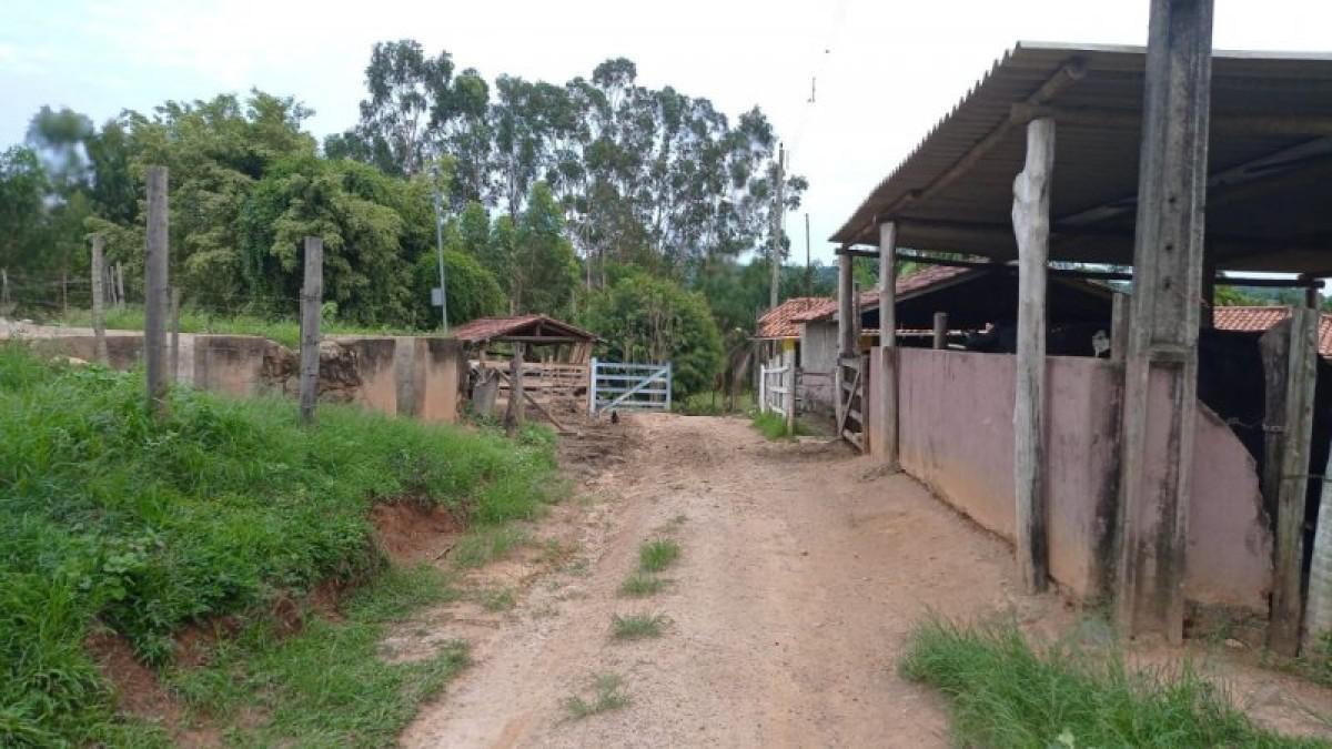 Fazenda, Centro, 6 Quartos, 3 Vagas