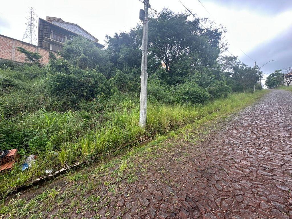 Lote, Vila Real, 0 Quarto, 0 Vaga