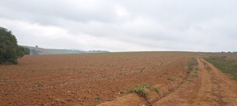 Fazenda, Centro, 0 Quarto, 0 Vaga