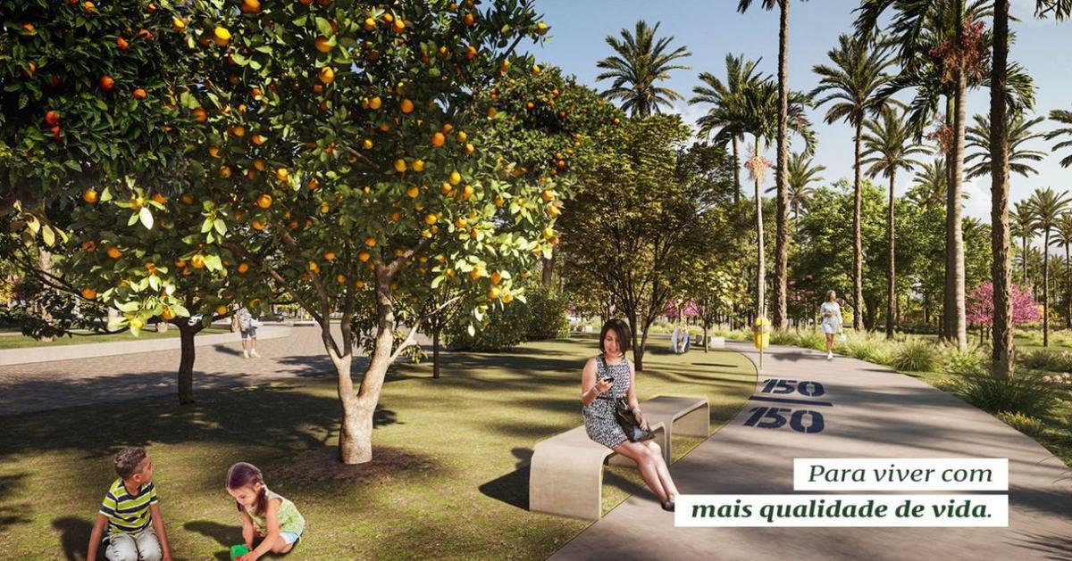 Lote, Canaã, 0 Quarto, 0 Vaga