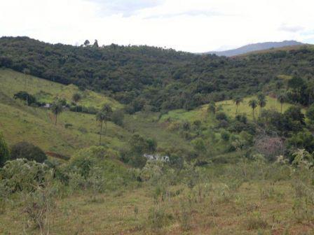 Fazenda, Centro, 3 Quartos, 0 Vaga