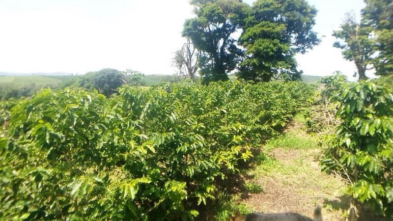 Fazenda, Zona Rural, 0 Quarto, 0 Vaga
