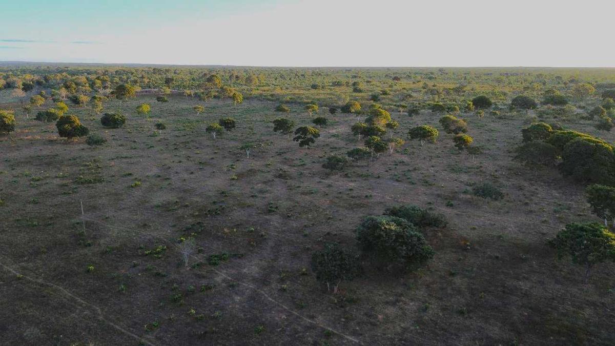 Fazenda, Zona Rural, 3 Quartos, 0 Vaga