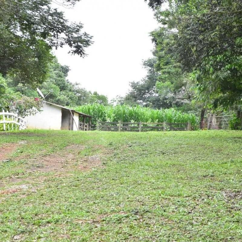 Fazenda, Centro, 3 Quartos, 1 Vaga, 1 Suíte