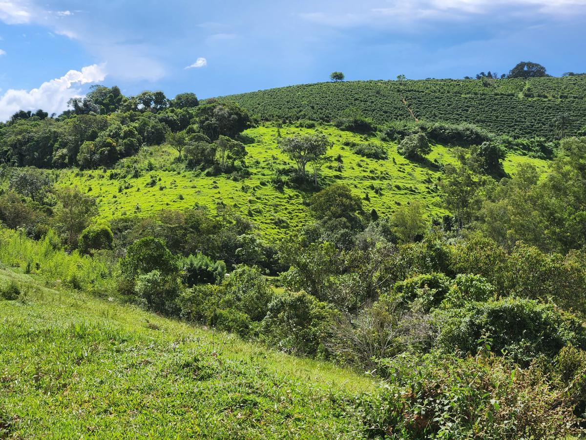 Fazenda, Zona Rural, 3 Quartos, 0 Vaga