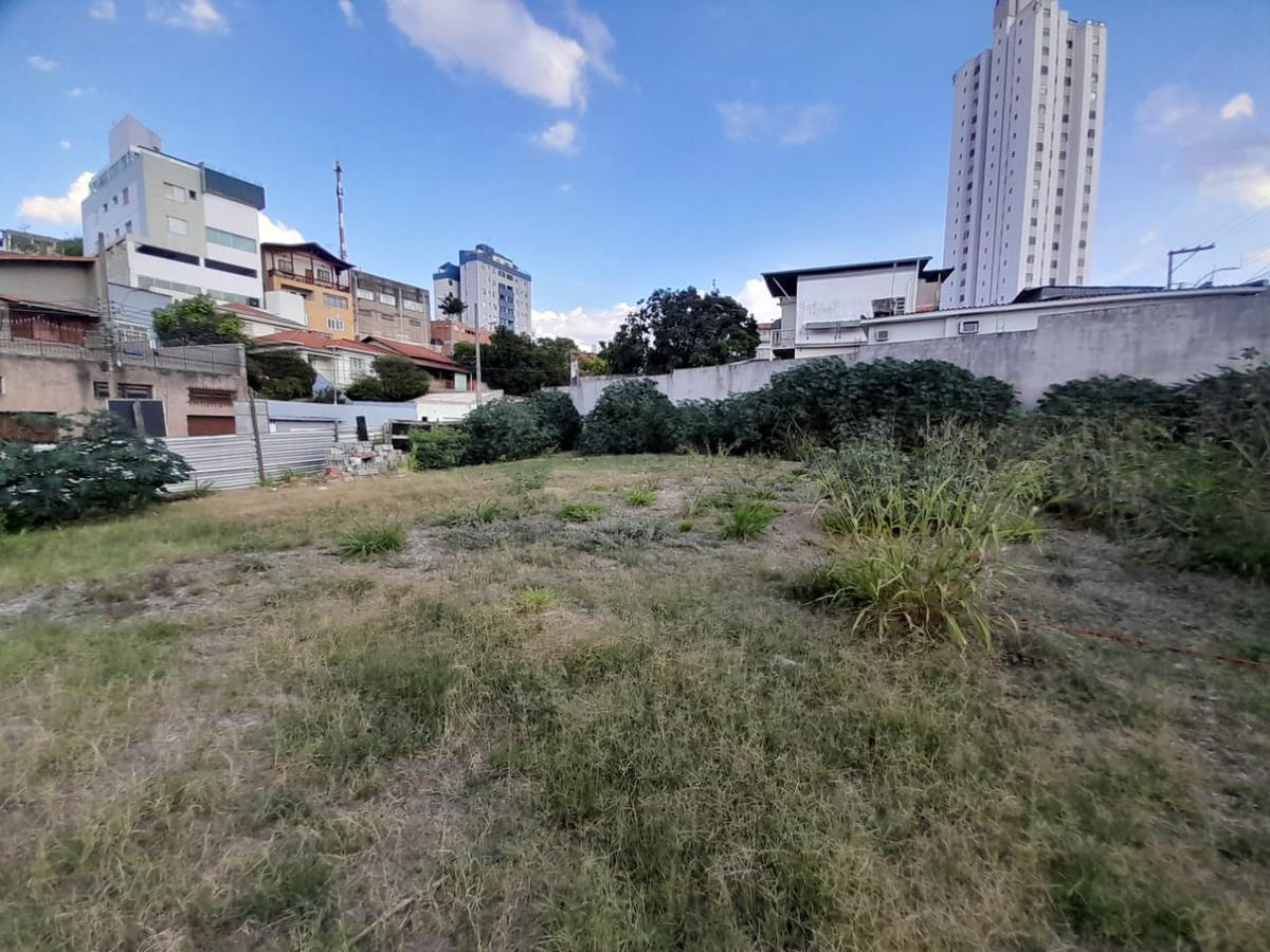 Lote, Floresta, 0 Quarto, 0 Vaga