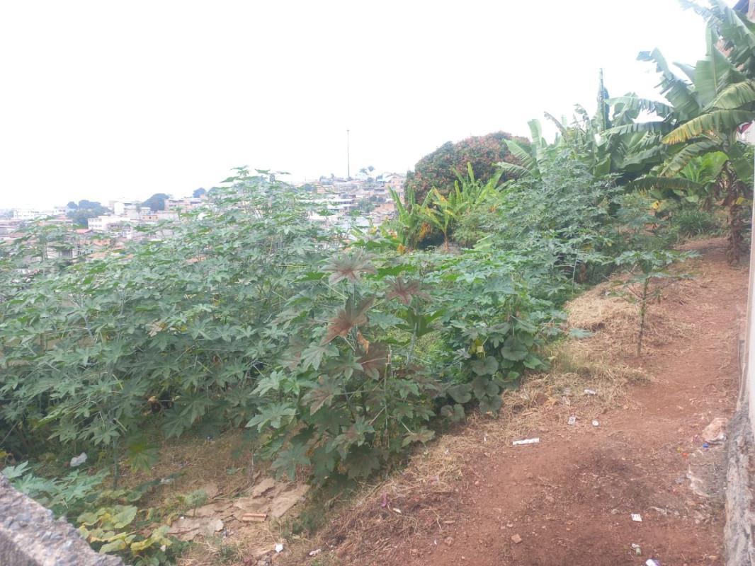 Lote, São Benedito, 0 Quarto, 0 Vaga