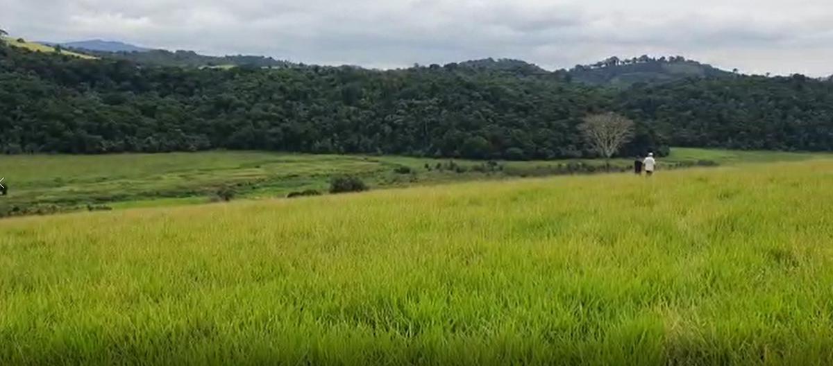 Fazenda, Centro, 4 Quartos, 2 Vagas, 1 Suíte