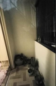 Apartamento, Dona Clara, 2 Quartos, 1 Vaga