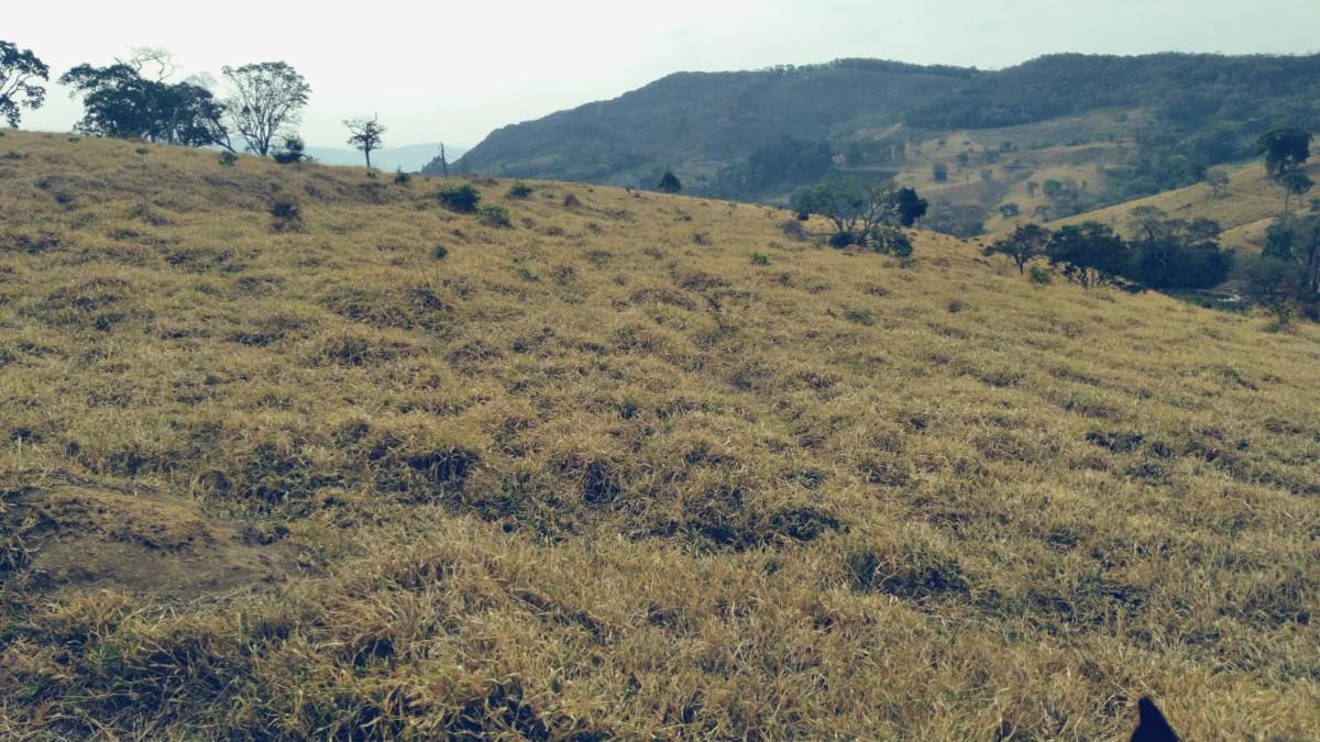 Fazenda, Zona Rural, 0 Quarto, 0 Vaga
