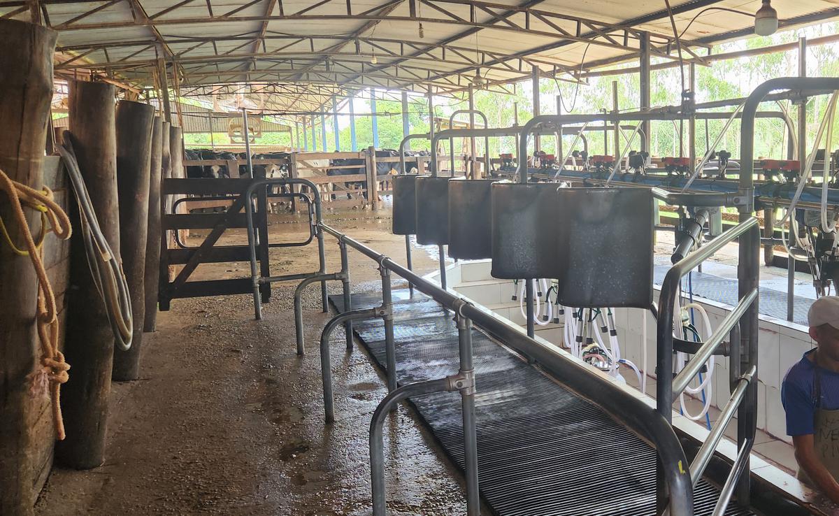 Fazenda, Zona Rural, 3 Quartos, 0 Vaga