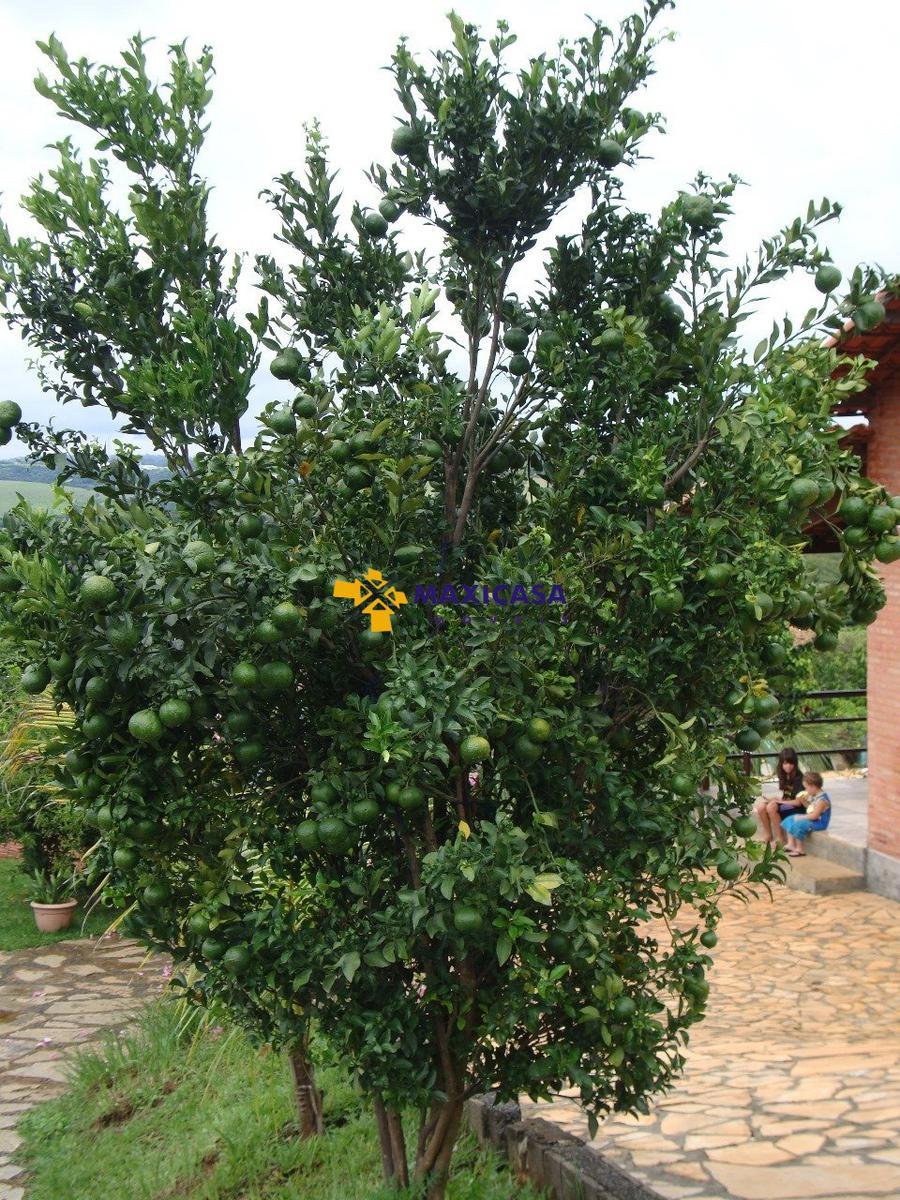 Casa, Tavares, 4 Quartos, 15 Vagas, 2 Suítes