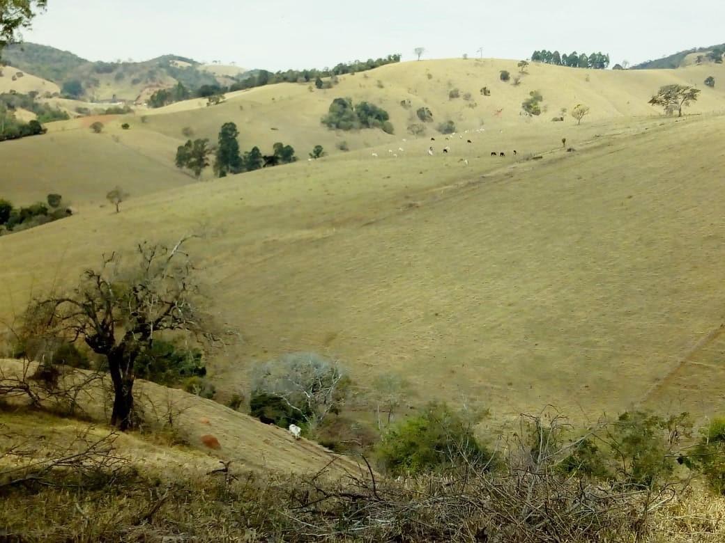 Fazenda, Centro, 1 Quarto, 1 Vaga, 1 Suíte