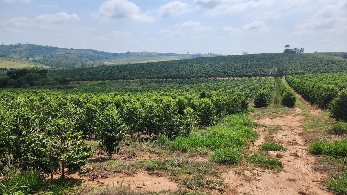 Fazenda, Zona Rural, 1 Quarto, 0 Vaga