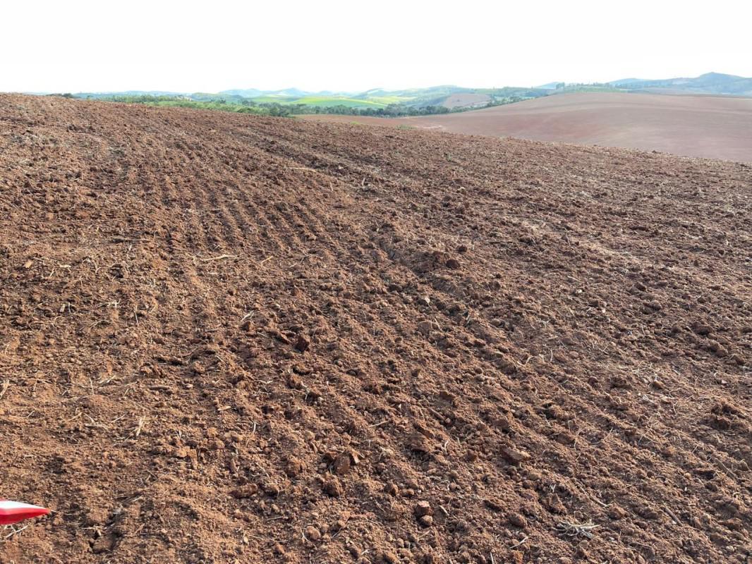 Fazenda, Zona Rural, 0 Quarto, 0 Vaga