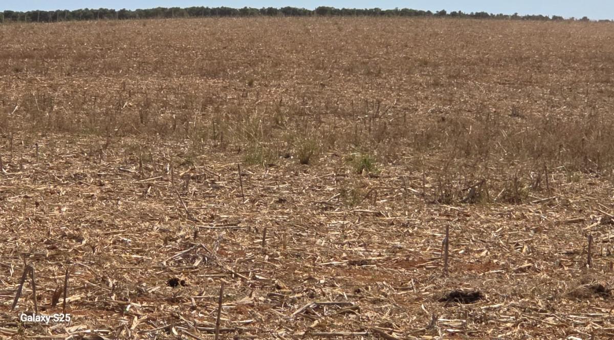 Fazenda, Centro, 1 Quarto, 21 Vagas, 1 Suíte
