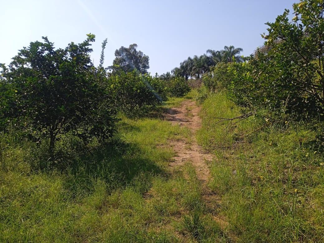 Fazenda, Zona Rural, 0 Quarto, 0 Vaga