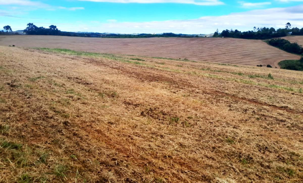 Fazenda, Zona Rural, 0 Quarto, 0 Vaga
