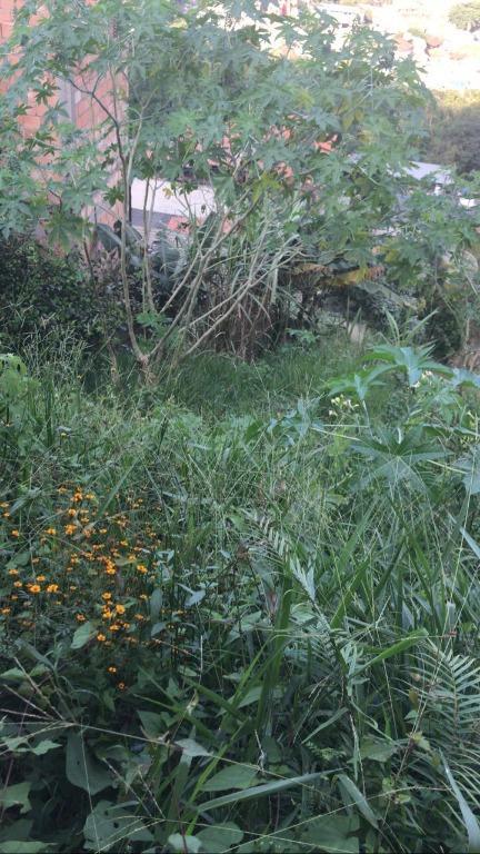 Lote, Morro São Francisco, 0 Quarto, 0 Vaga