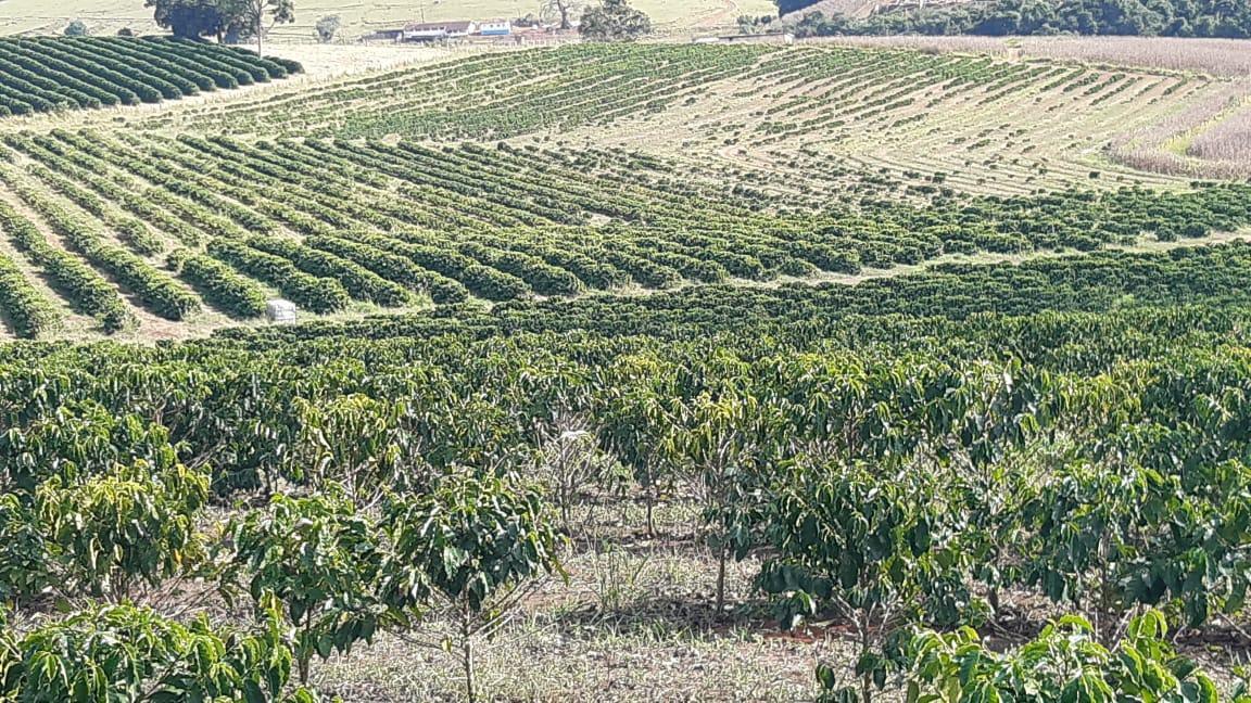Fazenda, Centro, 3 Quartos, 1 Vaga