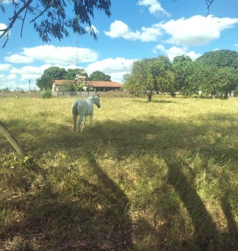 Fazenda, Zona Rural, 0 Quarto, 0 Vaga
