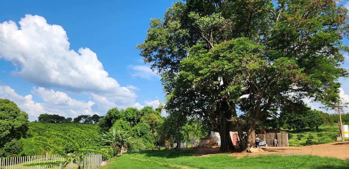 Fazenda, Zona Rural, 3 Quartos, 2 Vagas, 1 Suíte