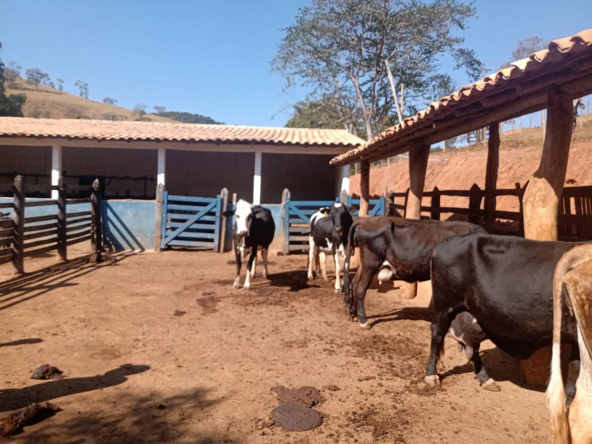 Fazenda, Centro, 3 Quartos, 0 Vaga, 2 Suítes