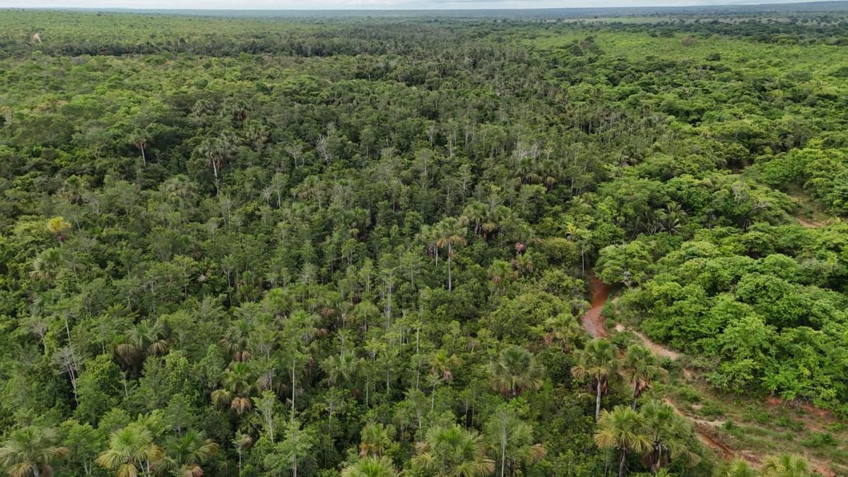 Fazenda, Zona Rural, 0 Quarto, 0 Vaga
