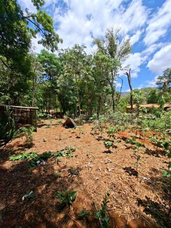 Lote, Casa Branca, 0 Quarto, 0 Vaga