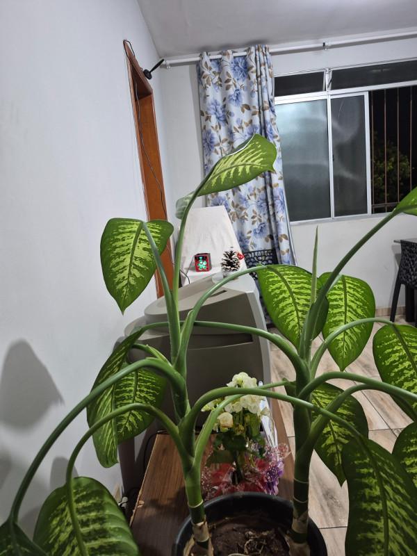 Apartamento, Parque Maracanã, 3 Quartos, 1 Vaga