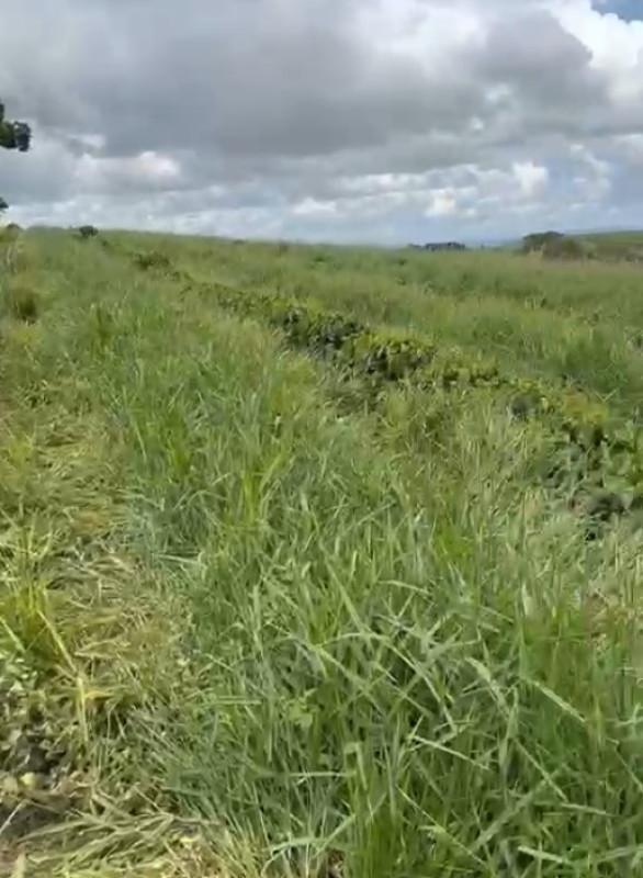 Fazenda, Zona Rural, 0 Quarto, 0 Vaga