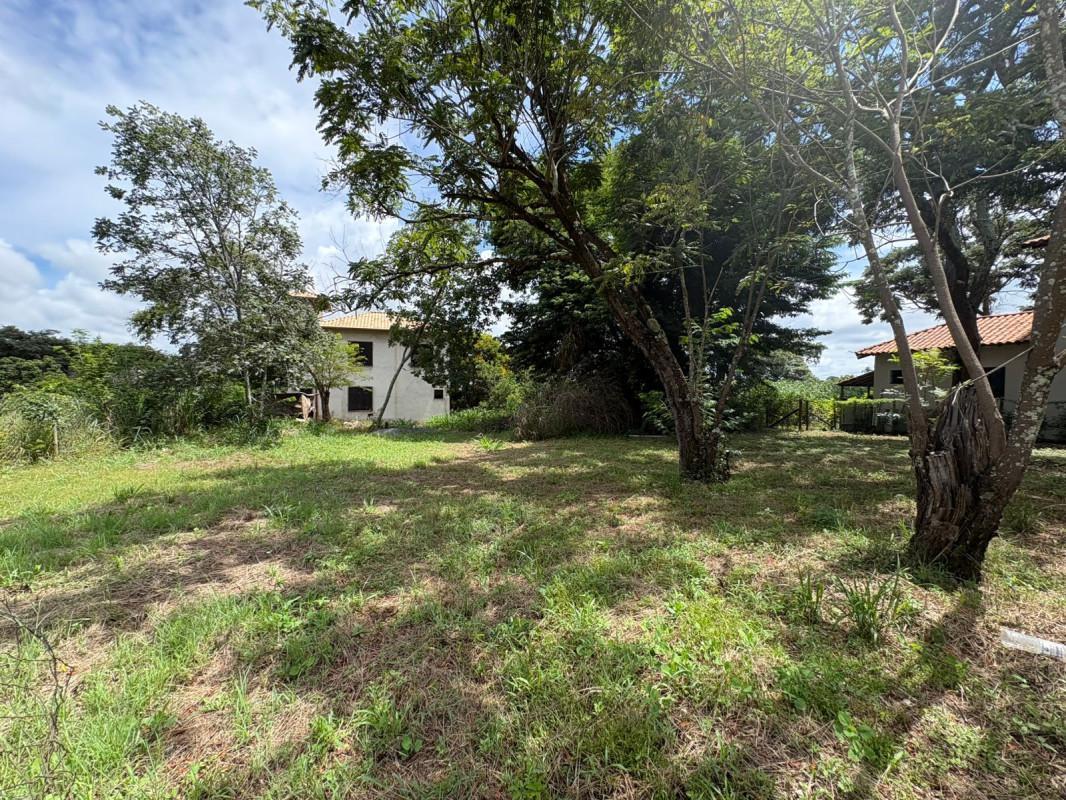 Lote, Angicos, 0 Quarto, 0 Vaga