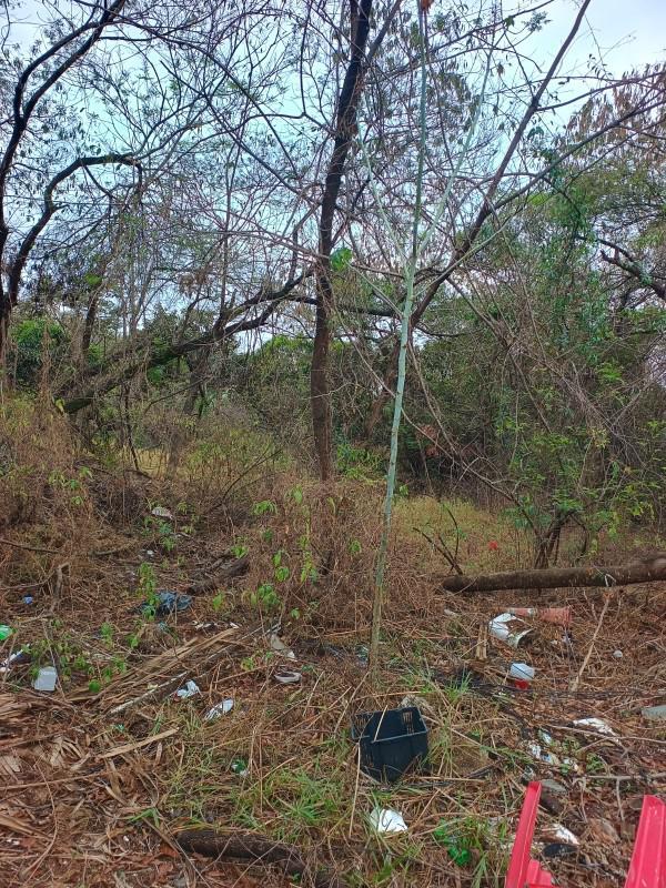 Lote, Praia, 0 Quarto, 0 Vaga