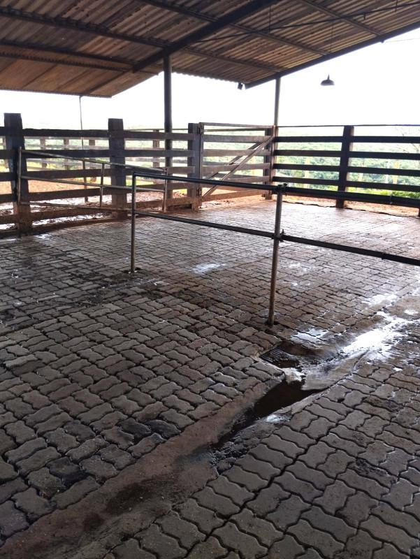 Fazenda, Área Rural de Pará de Minas, 0 Quarto, 0 Vaga