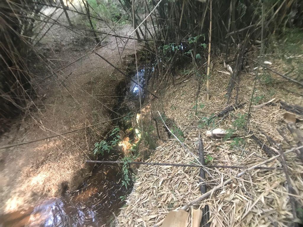 Fazenda, Centro, 4 Quartos, 0 Vaga