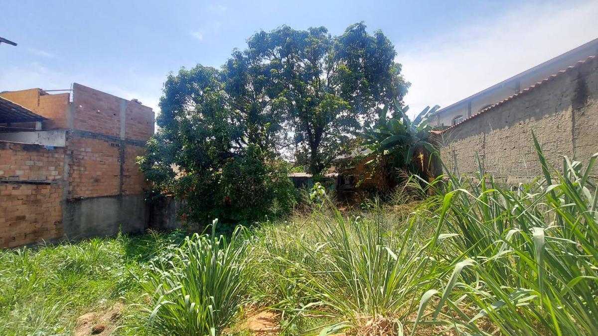 Lote, Santa Cruz, 0 Quarto, 0 Vaga