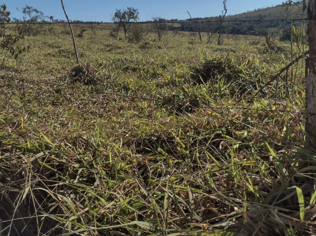 Fazenda, Centro, 1 Quarto, 0 Vaga