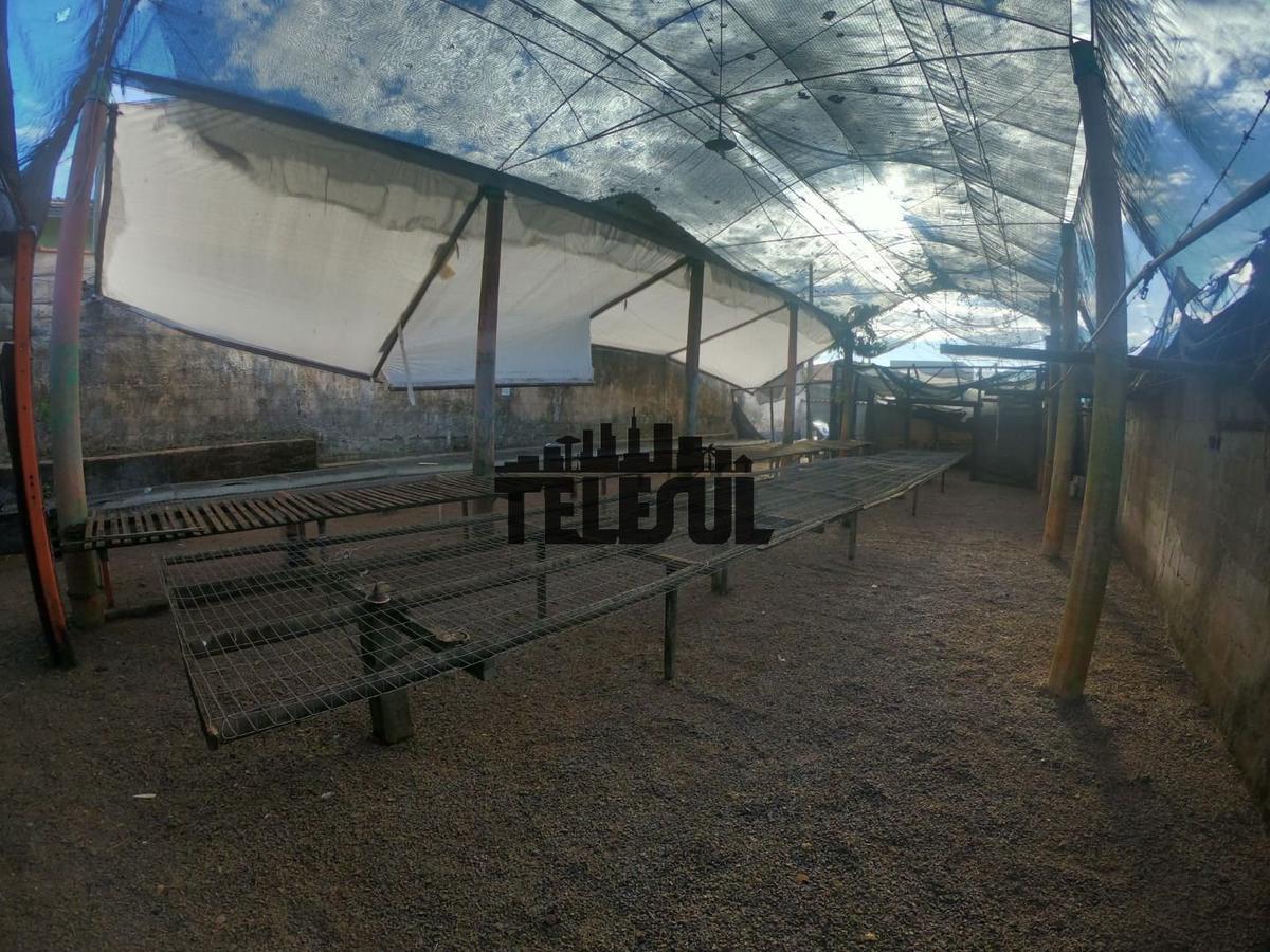 Lote, Parque Boa Vista, 0 Quarto, 0 Vaga