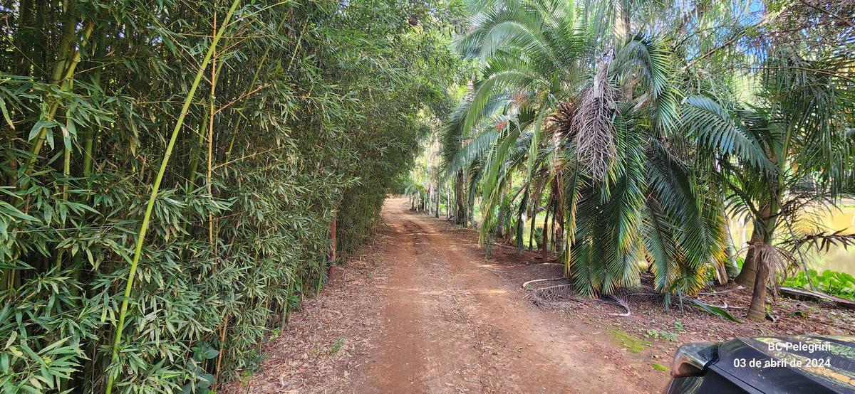 Fazenda, Zona Rural, 3 Quartos, 2 Vagas, 1 Suíte