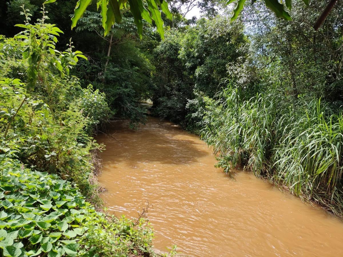 Fazenda, Centro, 3 Quartos, 0 Vaga