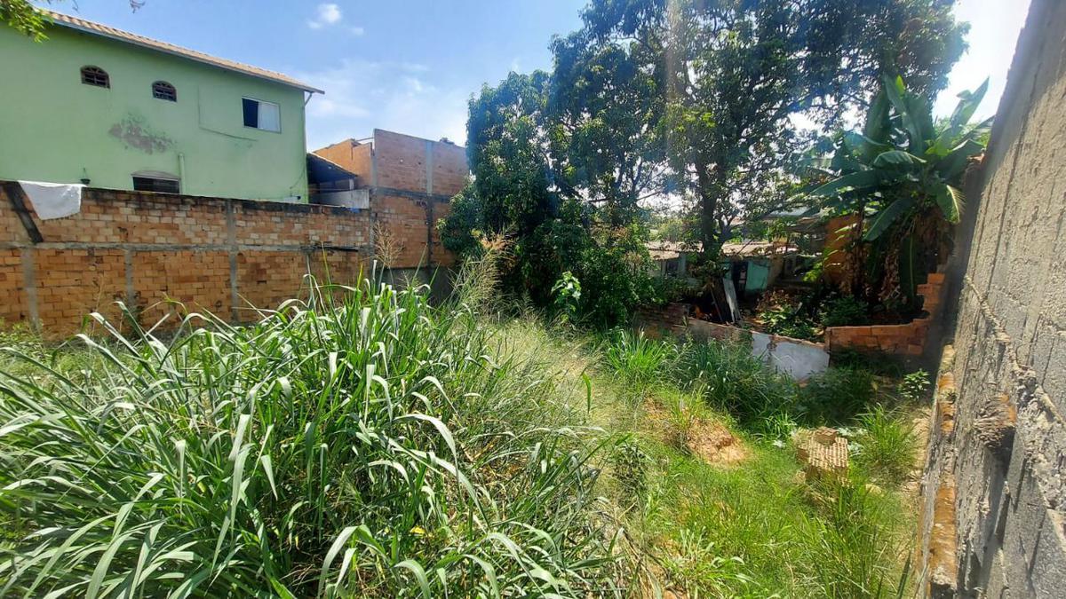 Lote, Santa Cruz, 0 Quarto, 0 Vaga