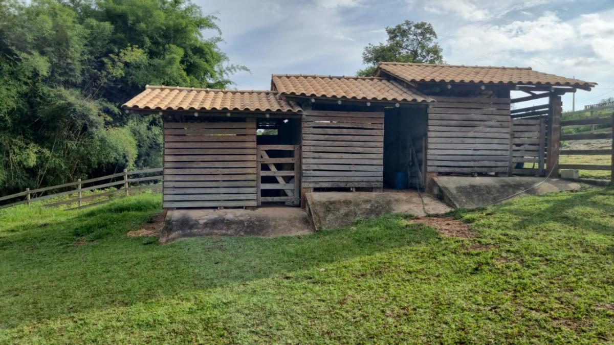 Fazenda, Centro, 3 Quartos, 3 Vagas, 1 Suíte