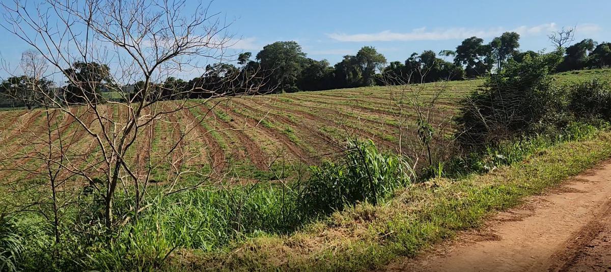 Fazenda, Zona Rural, 0 Quarto, 0 Vaga