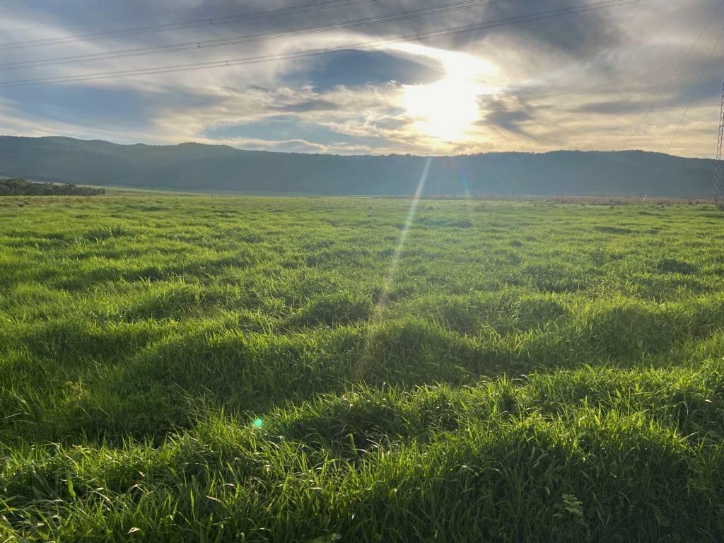 Fazenda, Zona Rural, 3 Quartos, 1 Vaga, 1 Suíte