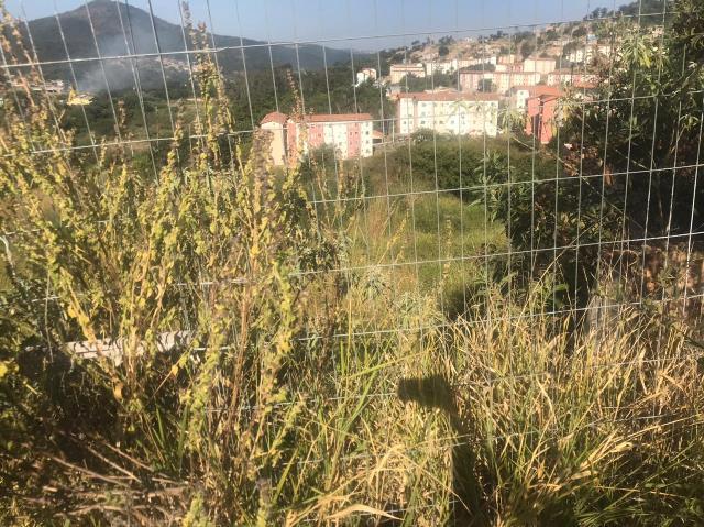 Lote, Jardim Vitória, 0 Quarto, 0 Vaga