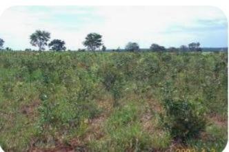 Fazenda, Zona Rural, 0 Quarto, 0 Vaga
